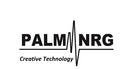 Palm Nrg & Repeat the heat